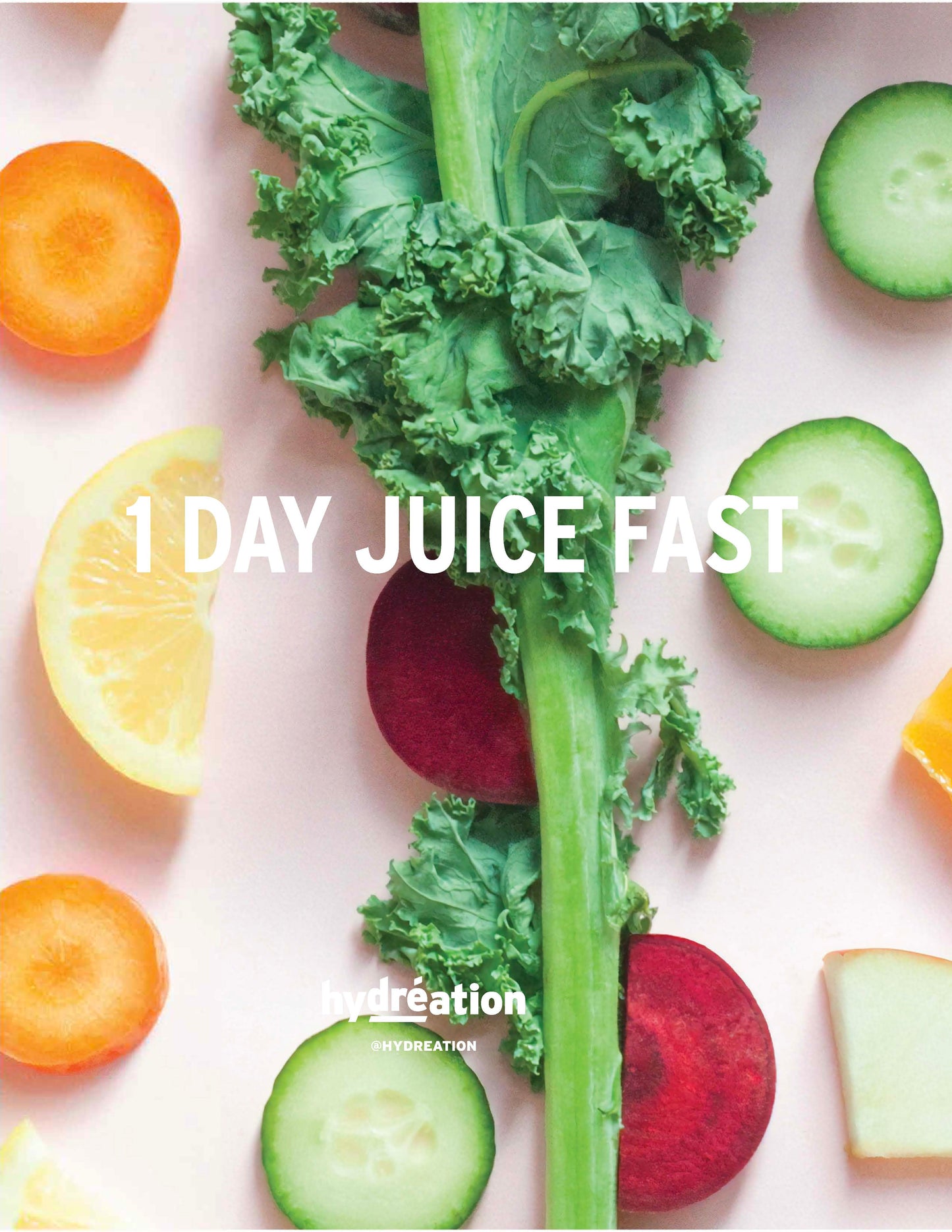 1  Day Juice Fast