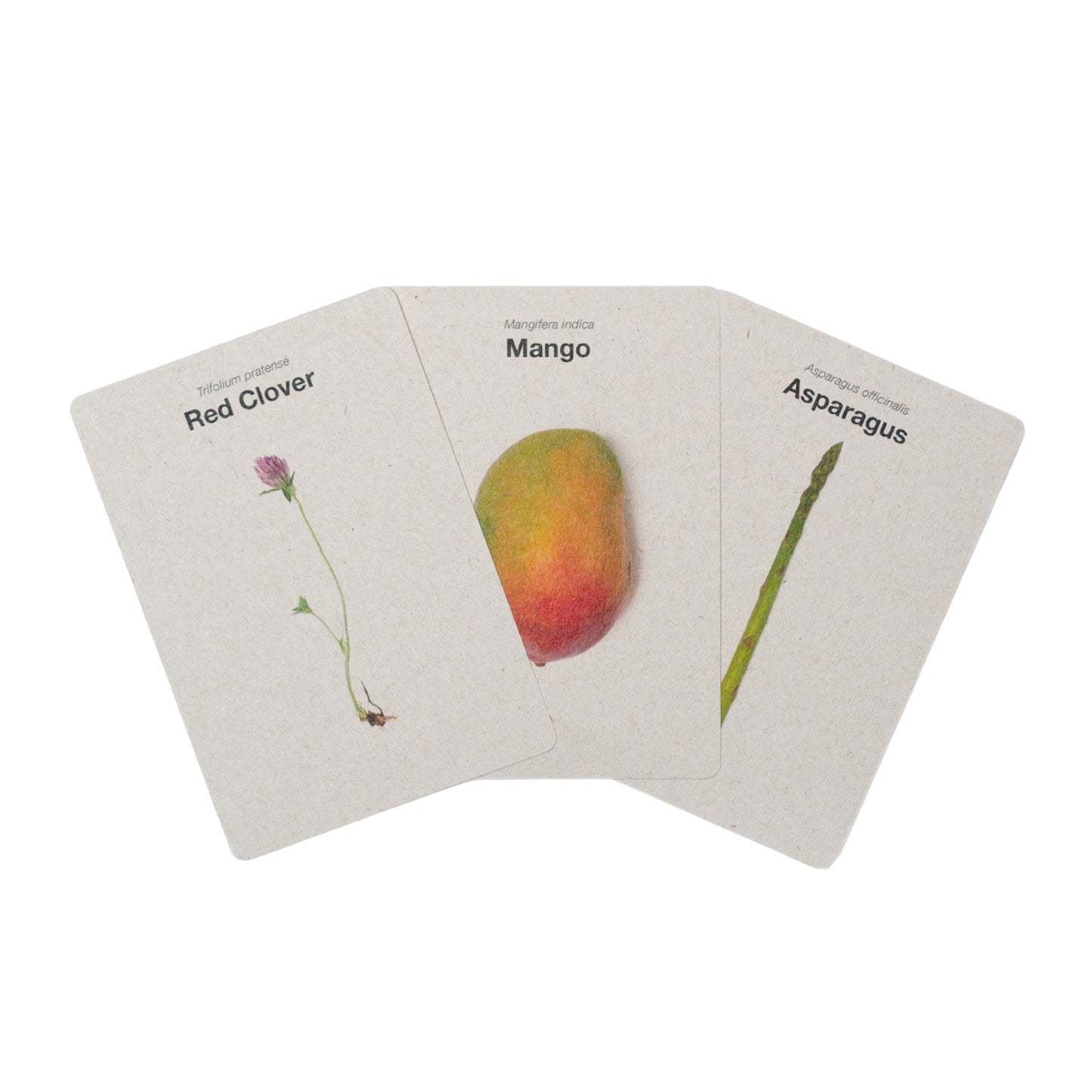 Food Over Drugs: The Card Deck